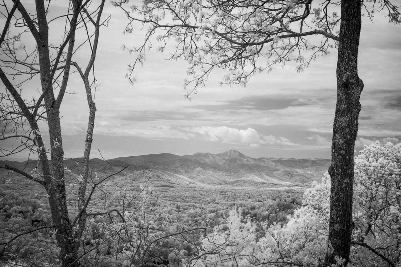 Elk Mountain Sanctuary With Views 6 Mi To Asheville Eksteriør bilde